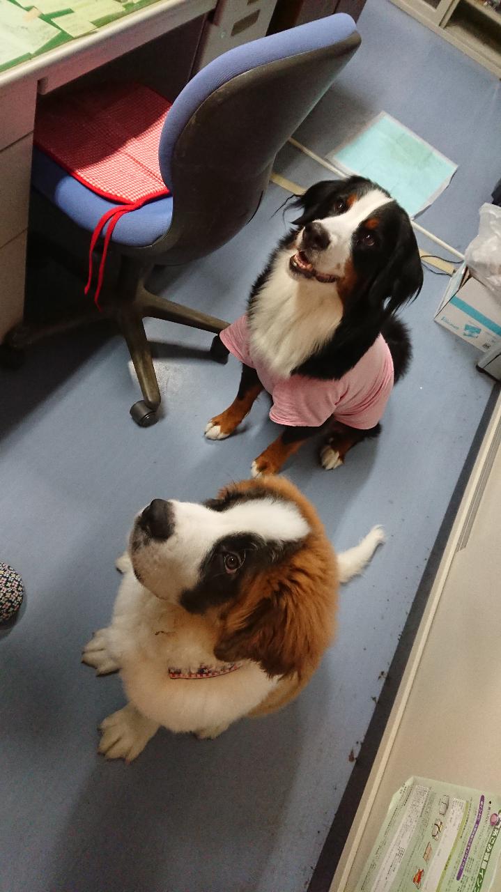 本日のお勤め終了。