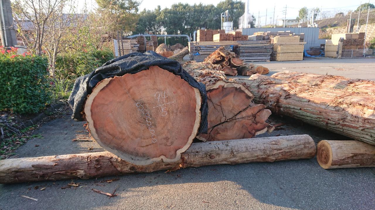 熊本までやって来ました。